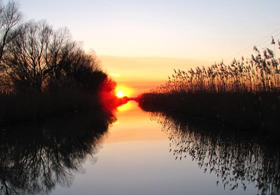 Delta Dunarii - delta.jpg